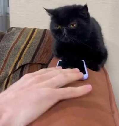 Keep your hands off my phone.