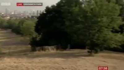 Carol Kirkwood arrived at Greenwich Park 8 hours early this morning.