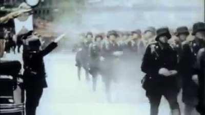 Total War (full version)