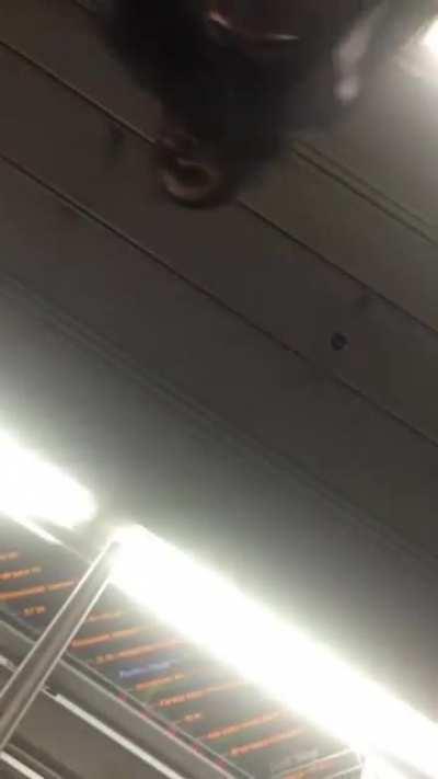 Gender equality in a nutshell!