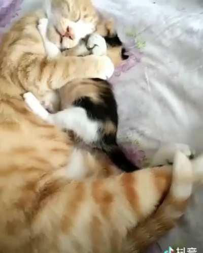 That is pure mom love...