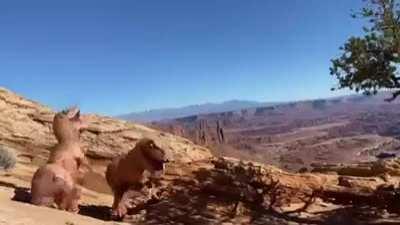 Something strange happened on our NP trip to Utah….