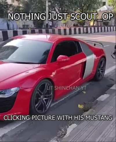 SCOUT OP MUSTANG