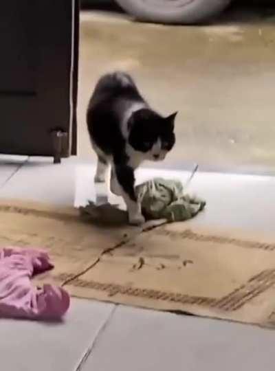 And the Oscar goes to