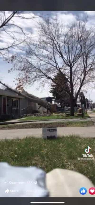 WCGW cutting down a tree the wrong way, right next to a house