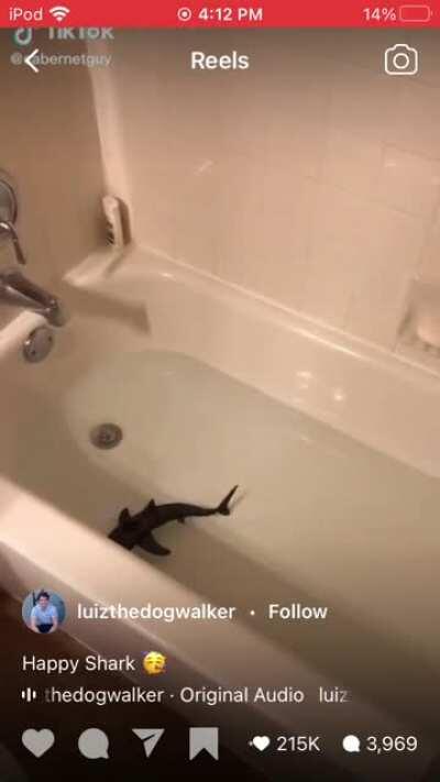 Tiktoker kidnaps starving shark and keep it in it’s bathtub while feeding it with goldfish food.