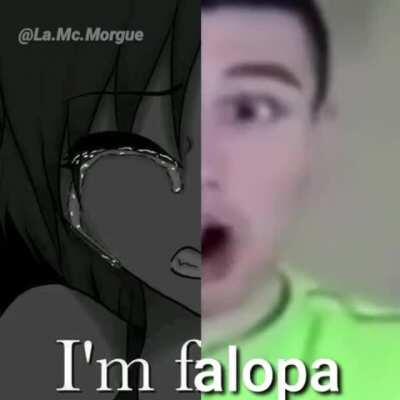 FALOPA!