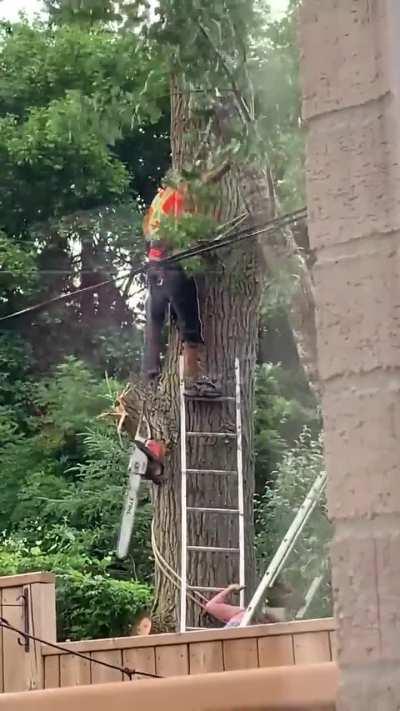 She almost got trimmed