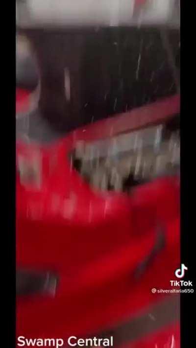 The literal definition of swamped!