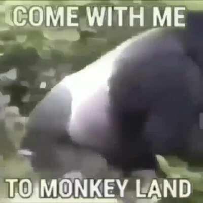 Monke land