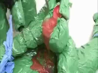 Turtles in a halfshell