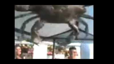 Un siri fazendo baras😎