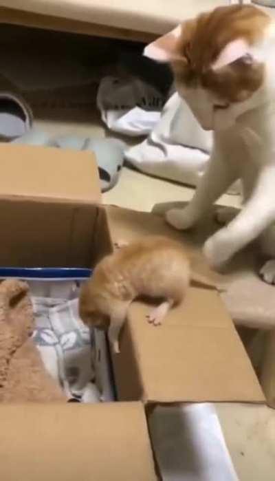 Practicing on your own kids smh