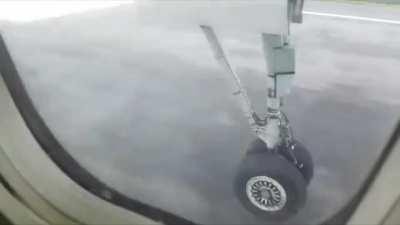 Plane lands on deer ripping it apart.