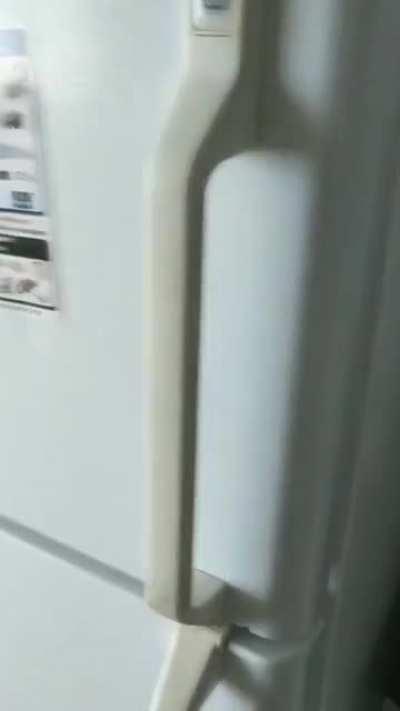 Sometimes my cats trills every time I look at her