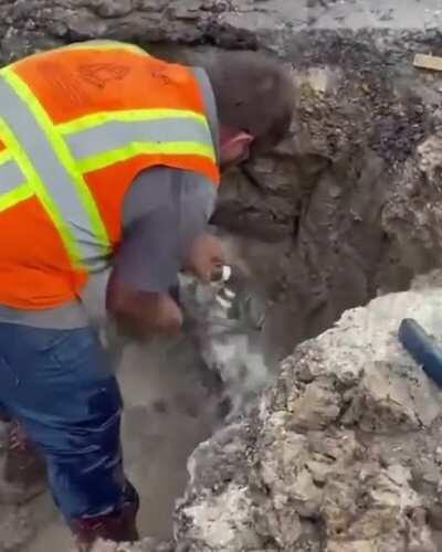 (Not OC) Patience truly is a virtue!