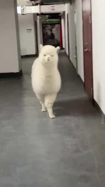 Ever seen a cloud with an attitude? ... Now you have!