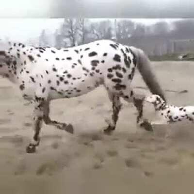 “Mom, is that you?”