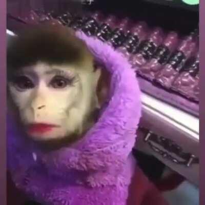 the 0/8 Wukong after being ulted by the fed Mordekaiser