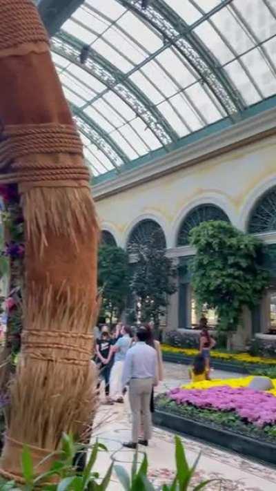 Skyrim soundtrack playing in the Bellagio Gardens installation