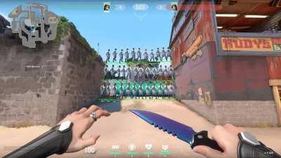 The better sage wall!