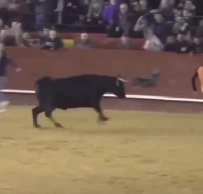 Не, ну ты видел? Видел?!