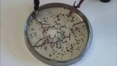 Self-assembling graphene particles