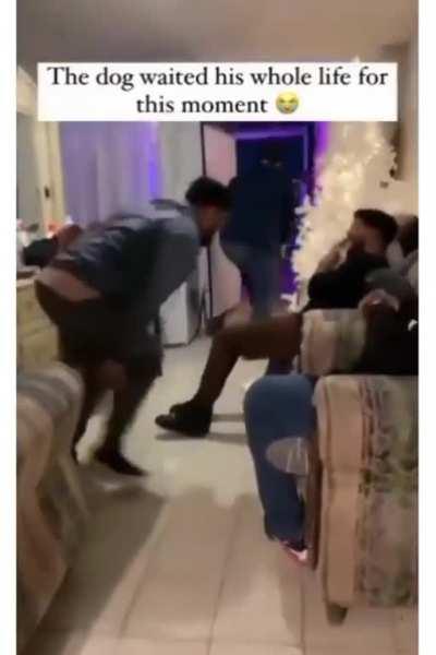 The life and soul of the party