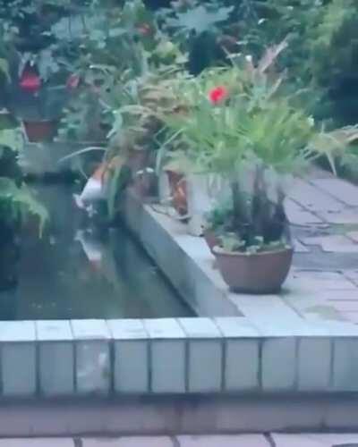 All it takes is a little push