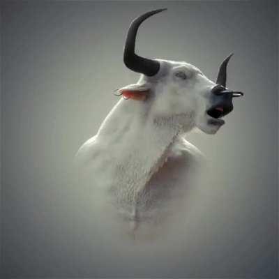 🐮 I'll gift this NFT to the person who suggests the best name! 🐮