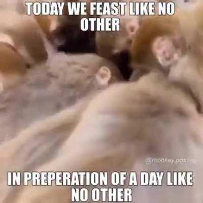 It’s gonna be funky