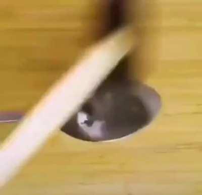 eu espero q esse vídeo seja ironia.........