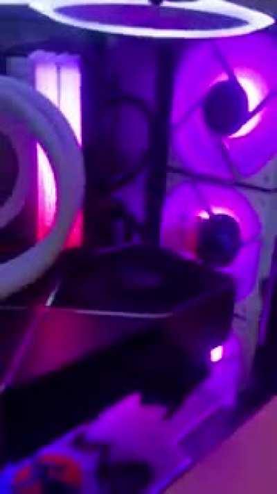 Pearl chopped into calamari by GPU