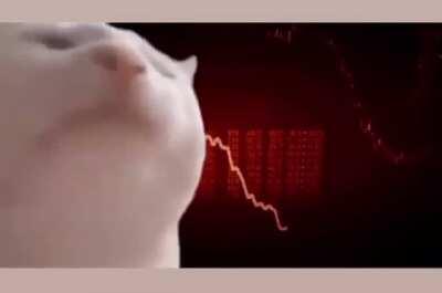 Ahh shit, here we go again...