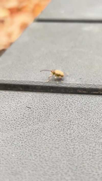 Movin’ and Groovin’