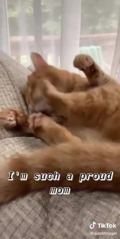 Don’t. Stop. Don’t Stop