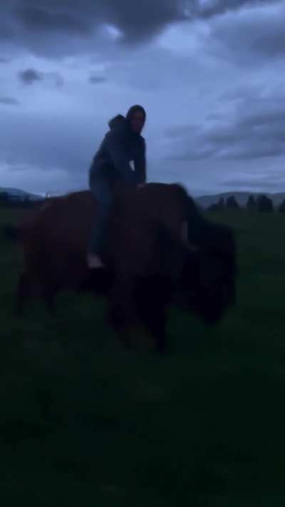 I am a bull rider....