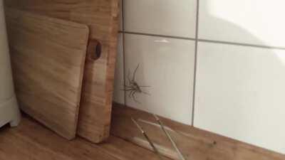 ... и тут пришла мама