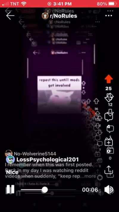 I wonder why, were, and who I am