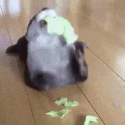 Y’all keep on saying “#MORE MORE” to me so here you go, you get more otter