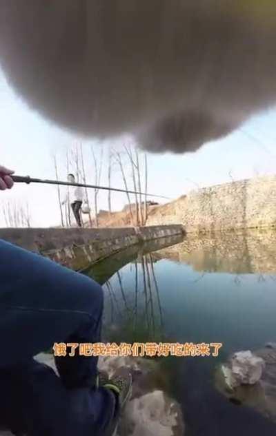 It's so interesting to see the world through a cat's eyes