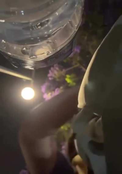 LAPD officers shot a woman at point-blank range with a rubber bullet for trying to get home