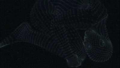 I made this while high .