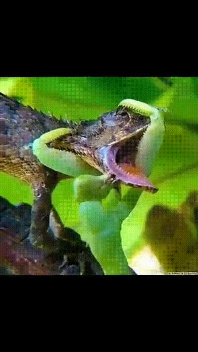 Everybody has a bad day. (Some has good).