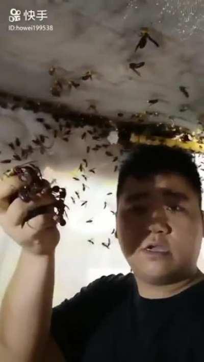 hmmmmmmmmmmmmmmmmmmmmmmmmmmmmmmmmmmmmmmmmmm