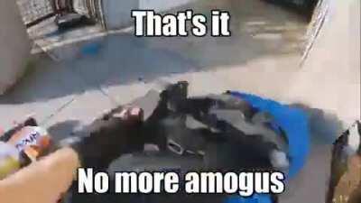 Mission: Save Pyrocynical from Amogus and end it once and for all!