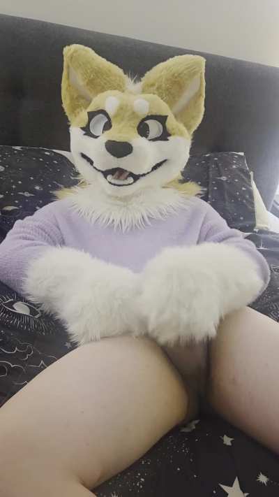 Pawing off for you tonight