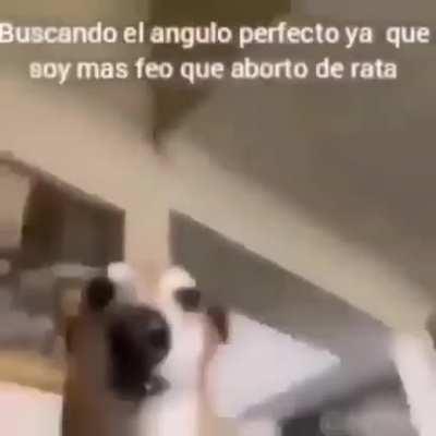 MoaiGreddit - Video #3554