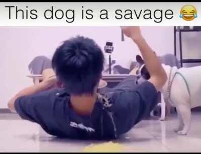 Perfect Revenge 🤣😂