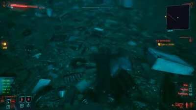 V sure has an interesting way of swimming...